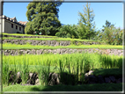 foto Giardini Trauttmansdorff - Boschi del Mondo